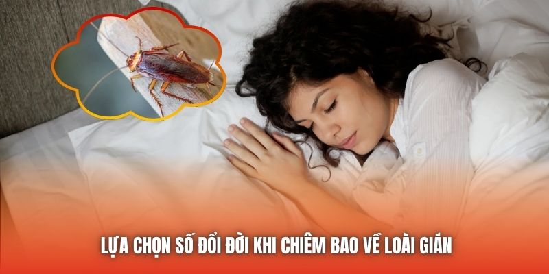Lựa chọn số đổi đời khi chiêm bao về loài gián