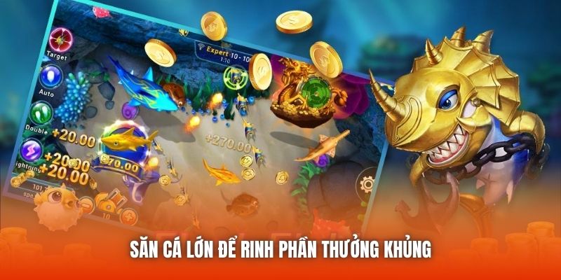 Săn cá lớn để rinh phần thưởng khủng